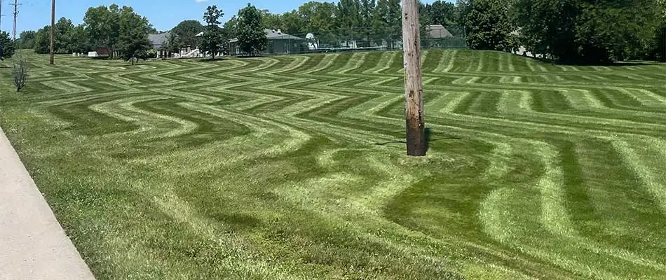 Zig zag mowing lines in a large yard near Columbia, MO.