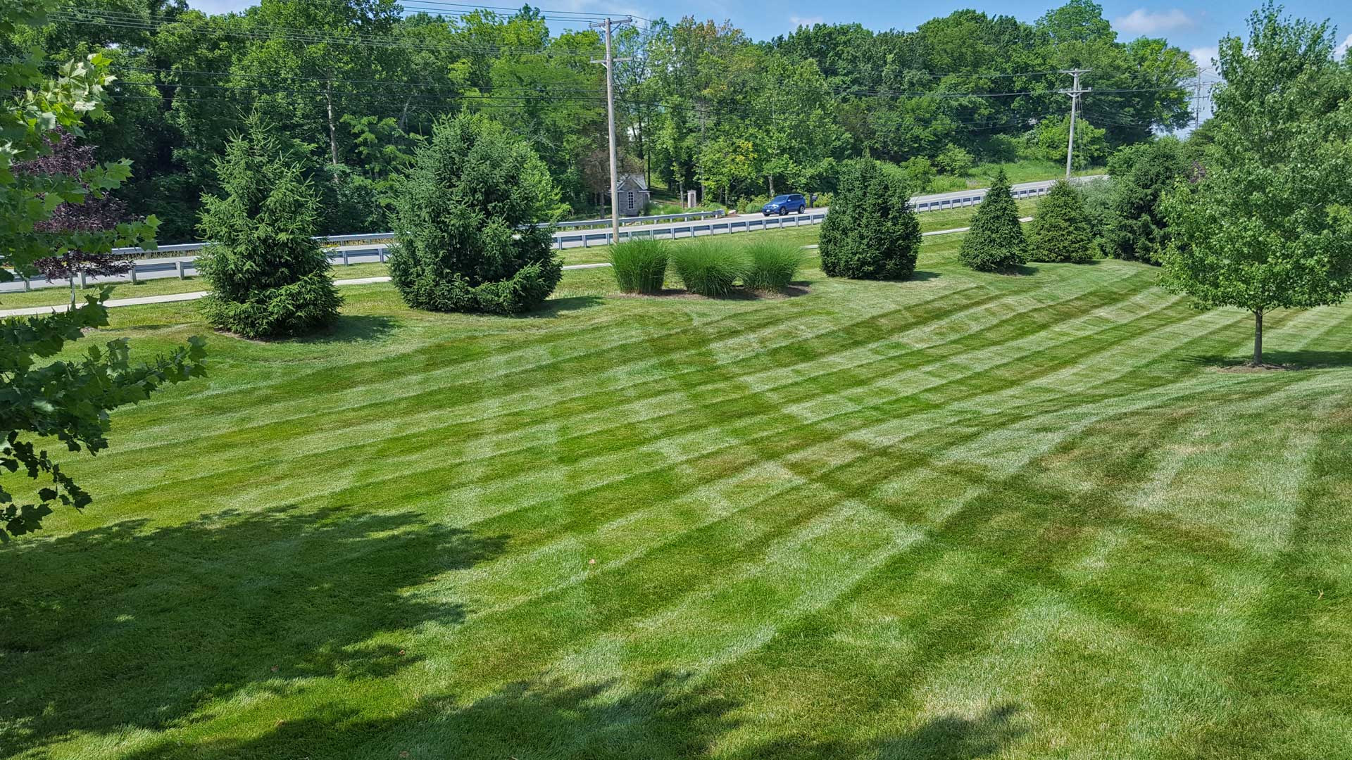 Dark green yard in Columbia, MO maintained by McVey Mowing.