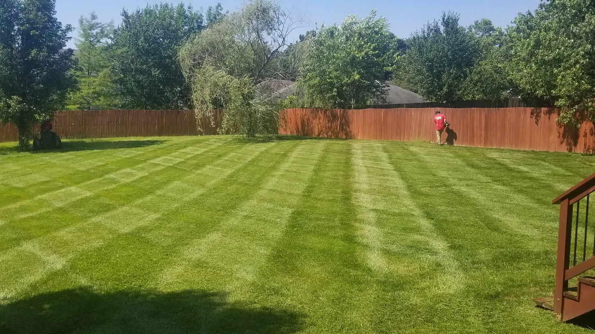 Well maintained and fertilized home lawn in Columbia, Missouri.