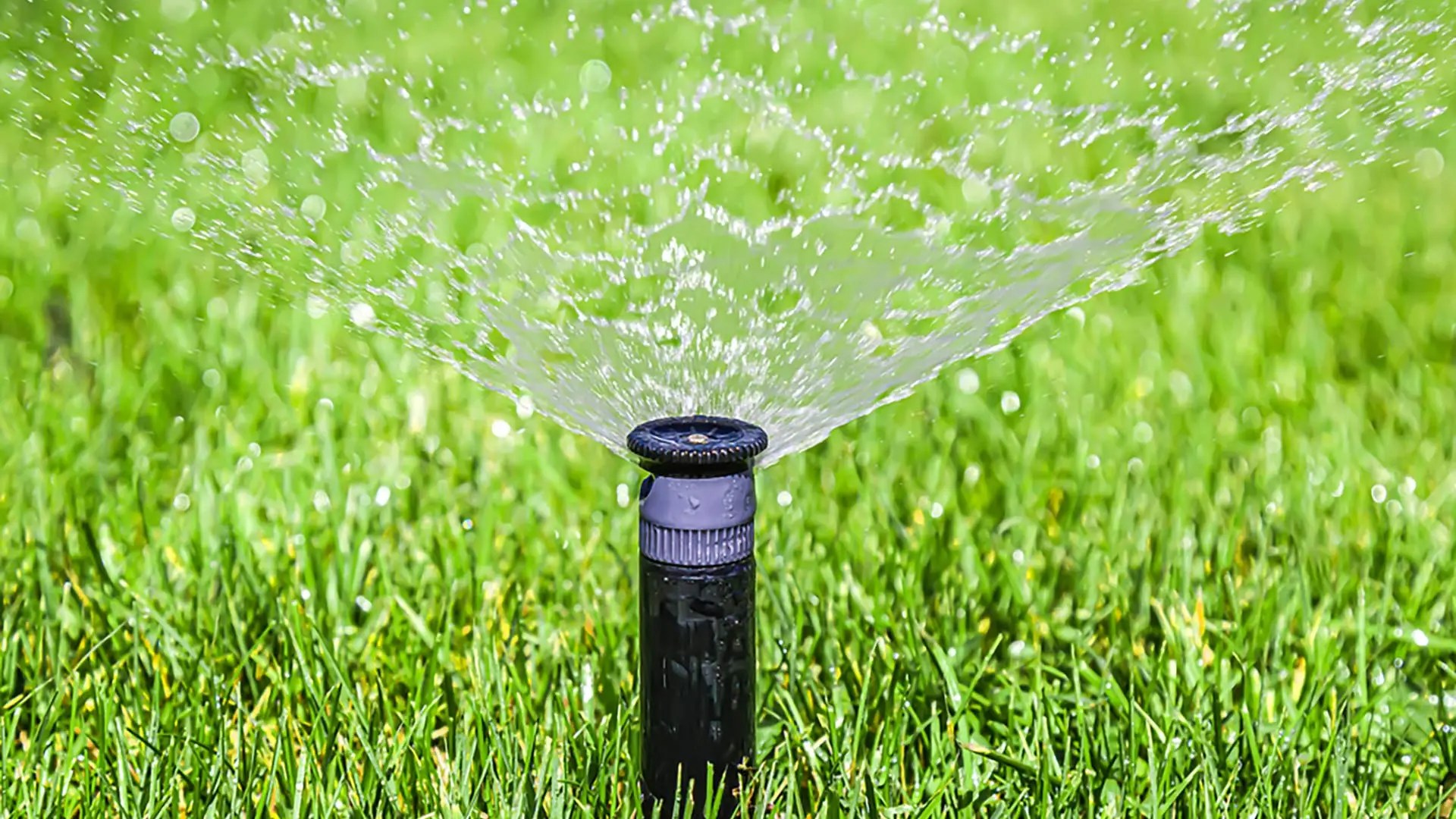 Sprinkler system watering lawn near Columbia, MO.