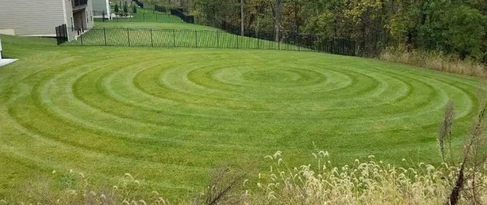 Circle mowing stripes in backyard for Columbia, MO customer.