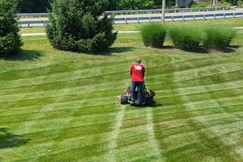 Columbia professionally mowed and maintained lawn.