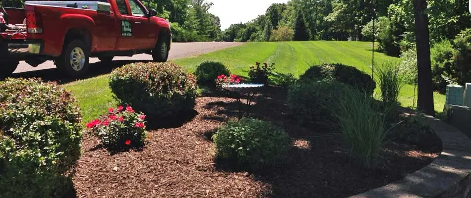 Columbia, MO front yard with new dark mulch around bushes and flowers by McVey Mowing.